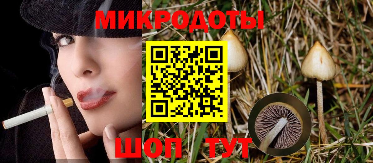 Галлюциногенные грибы ЛСД  Вход с VPN  Галлюциногенные грибы GOLDEN TEACHER  наркота  Магадан 